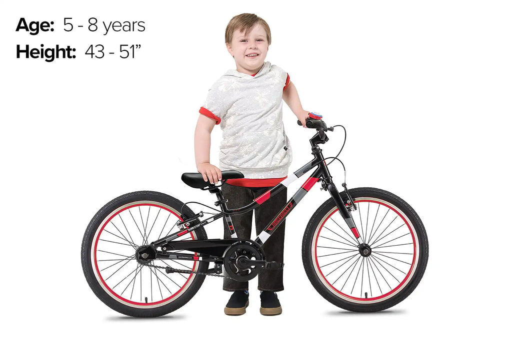 20 Inch Small Bike
