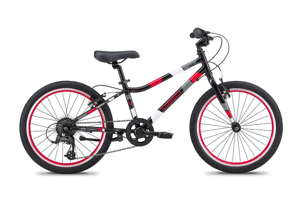 20 Inch Large Bike