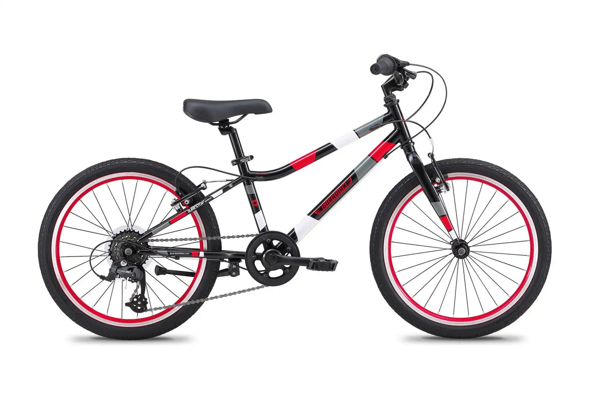 20 Inch Large Bike
