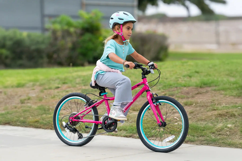 20 Inch Large Bike