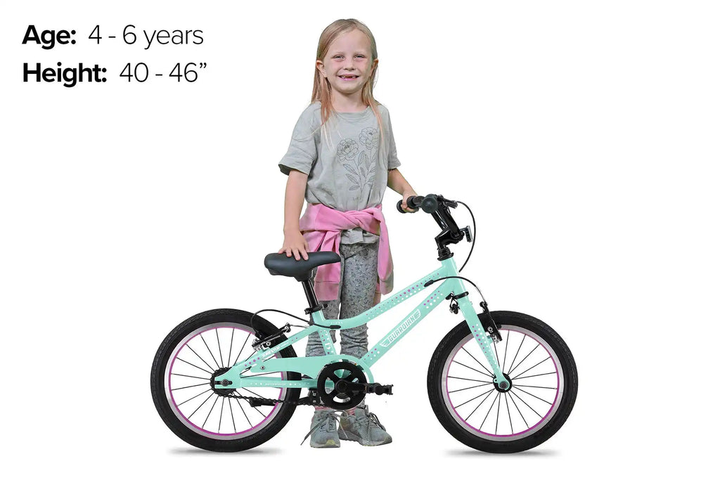 16 Inch Bike