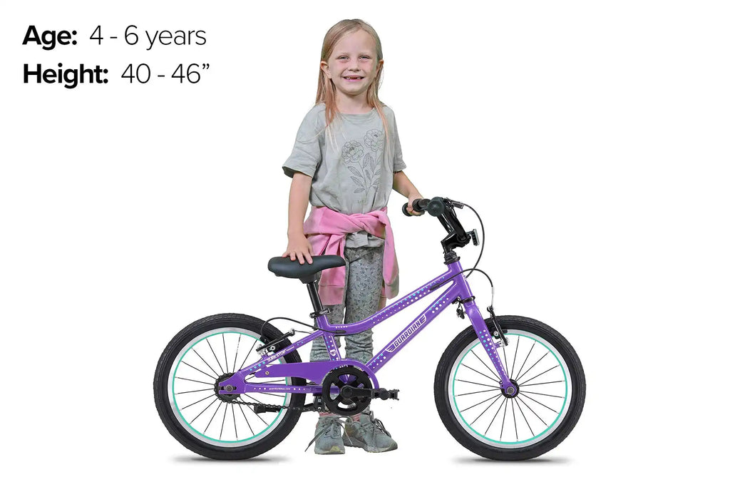 16 Inch Bike