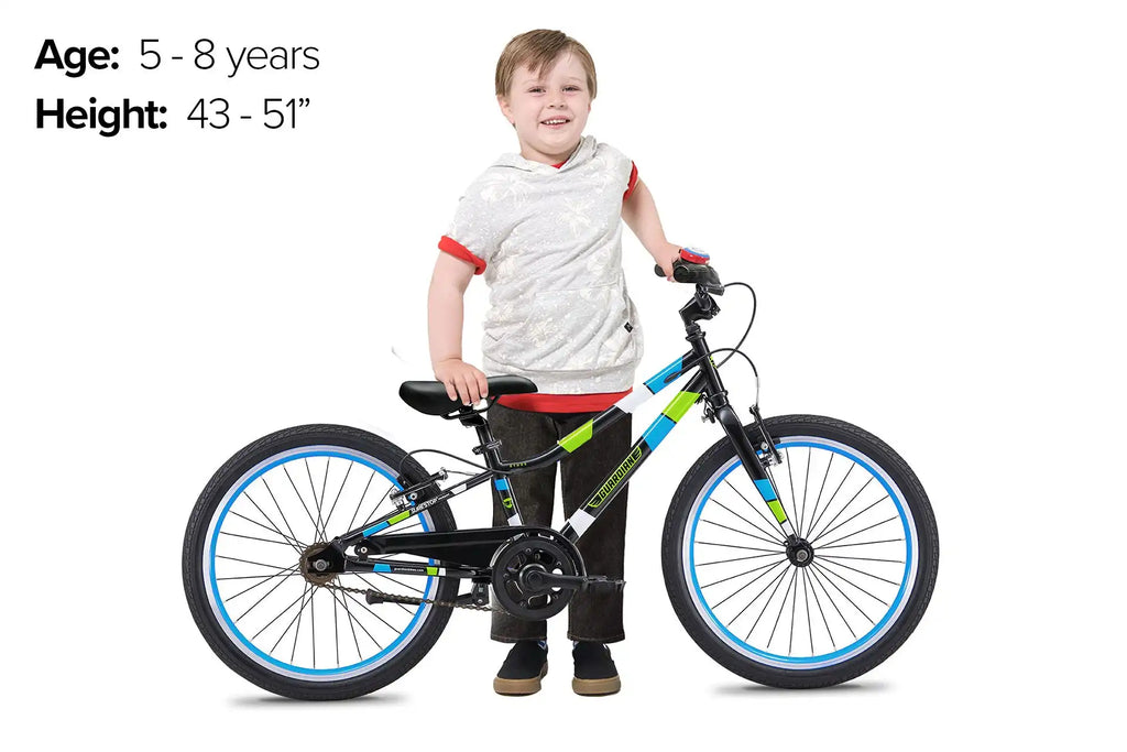 20 Inch Small Bike