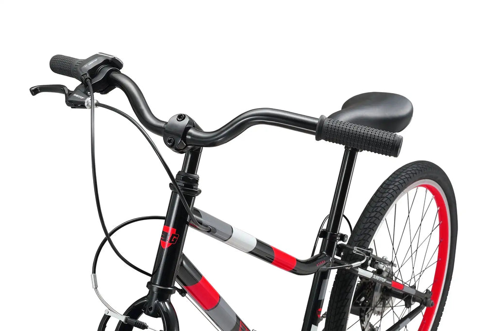 24 Inch Bike