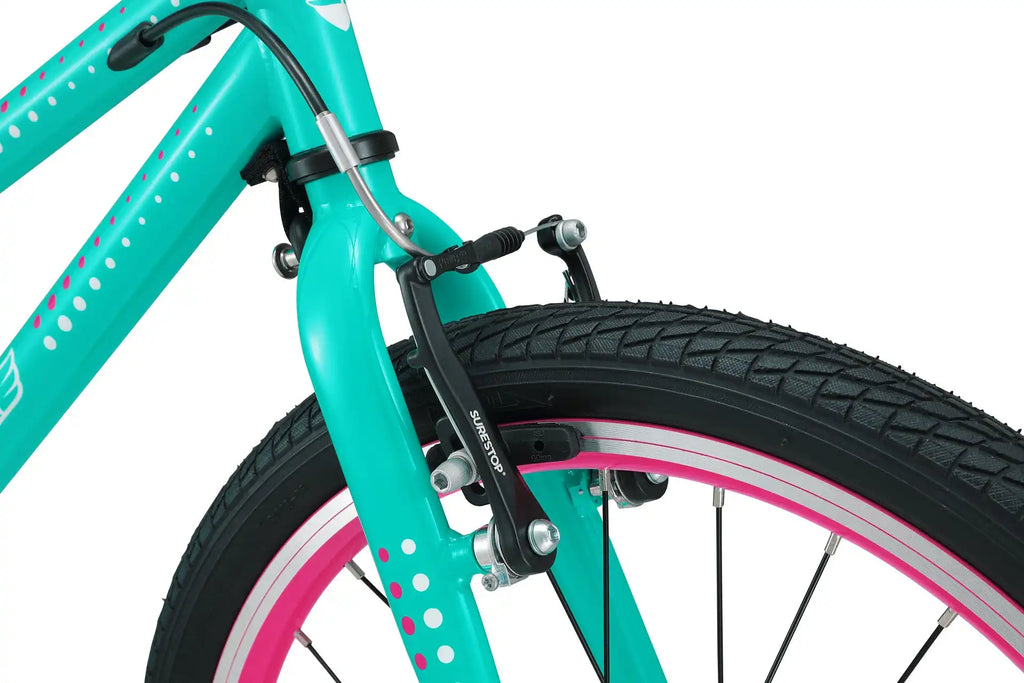 20 Inch Small Bike