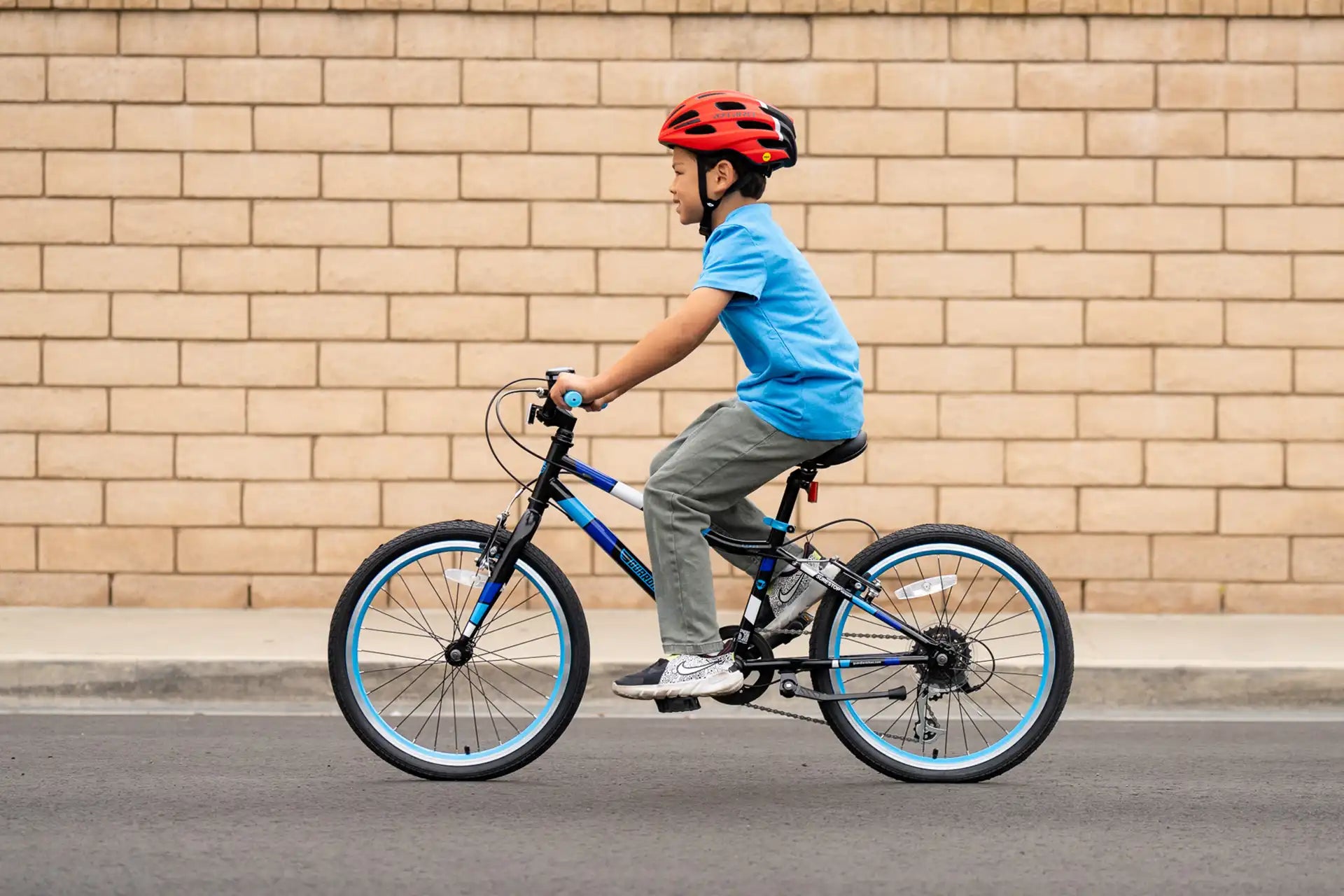 20 Inch Large Bike