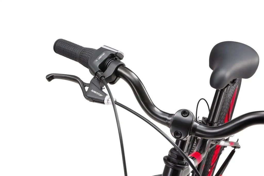 20 Inch Large Bike