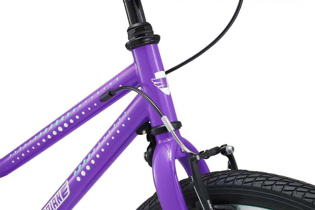 20 Inch Small Bike