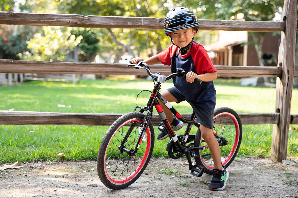 20 Inch Small Bike