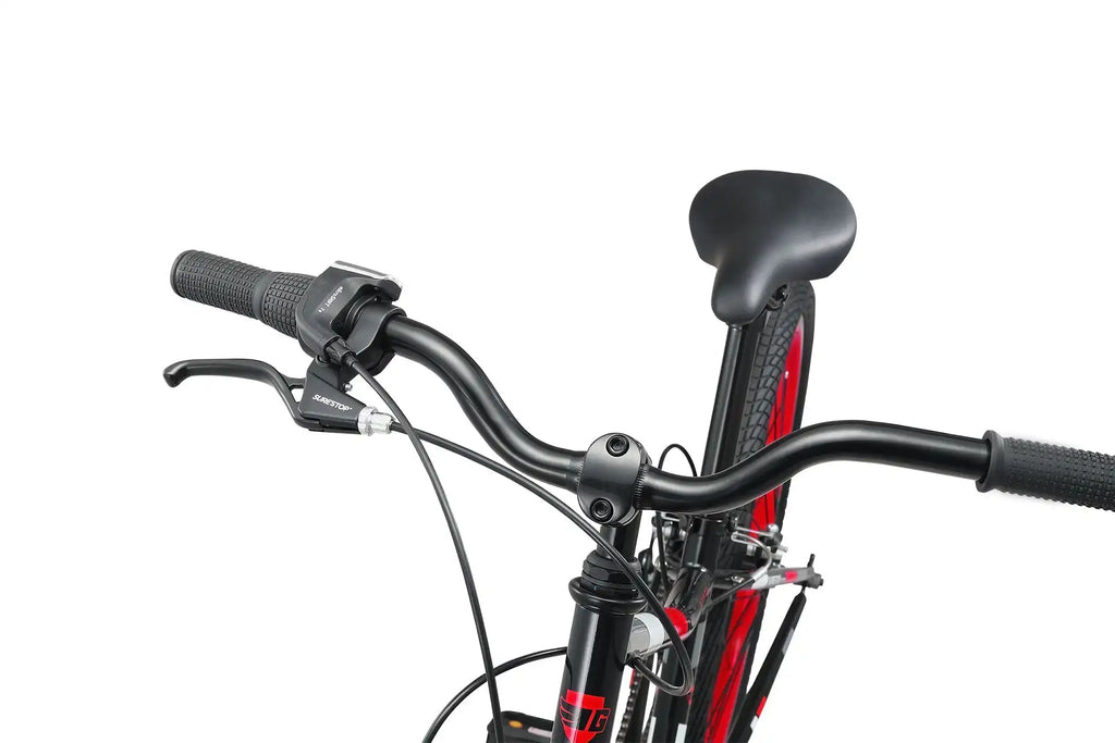 24 Inch Bike