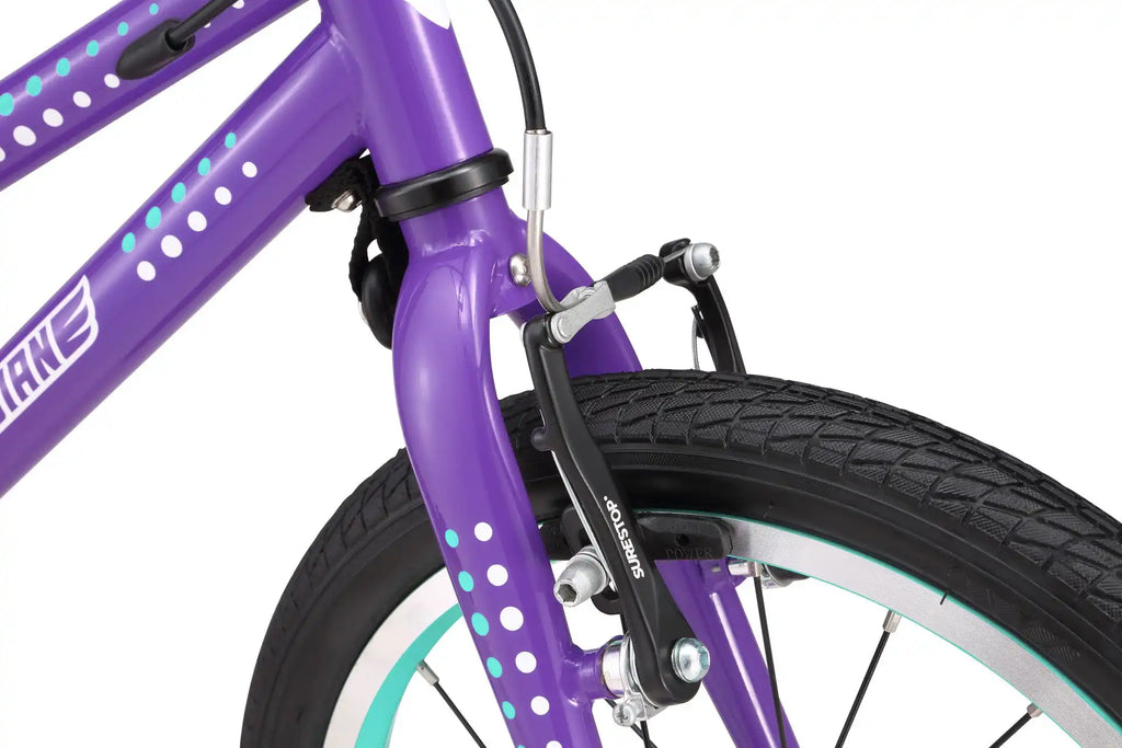 16 Inch Bike