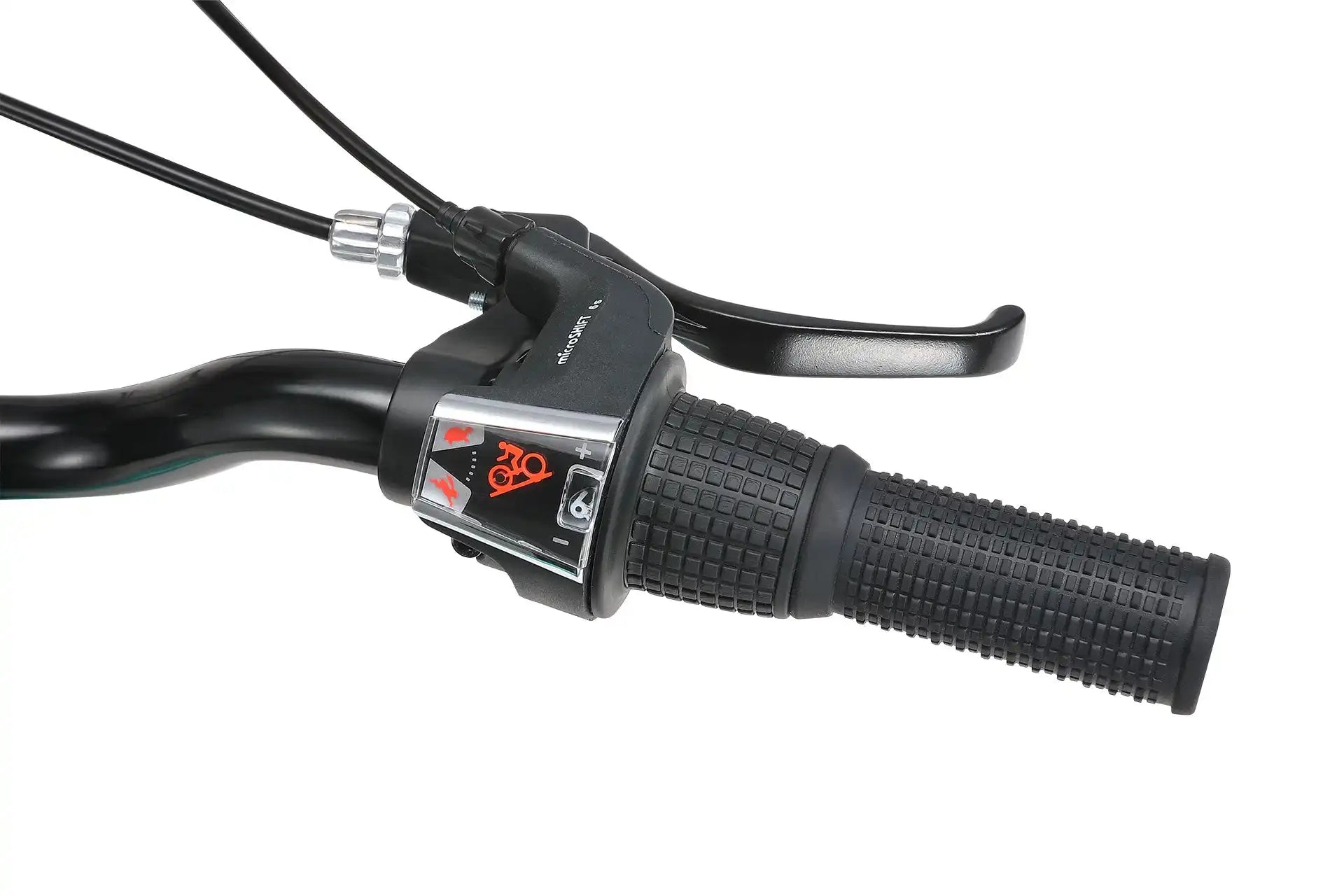 20 Inch Large Bike