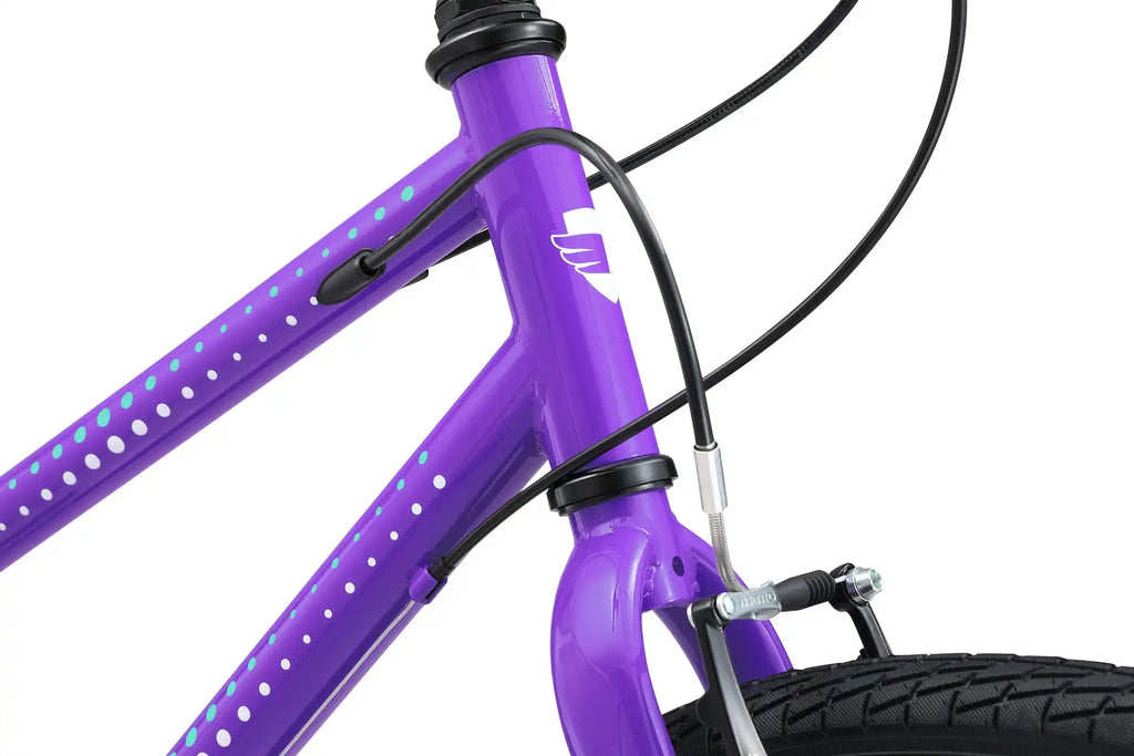 24 Inch Bike