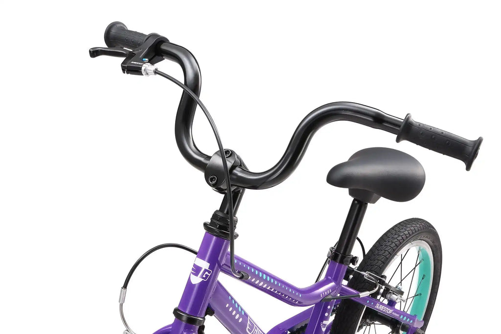 16 Inch Bike