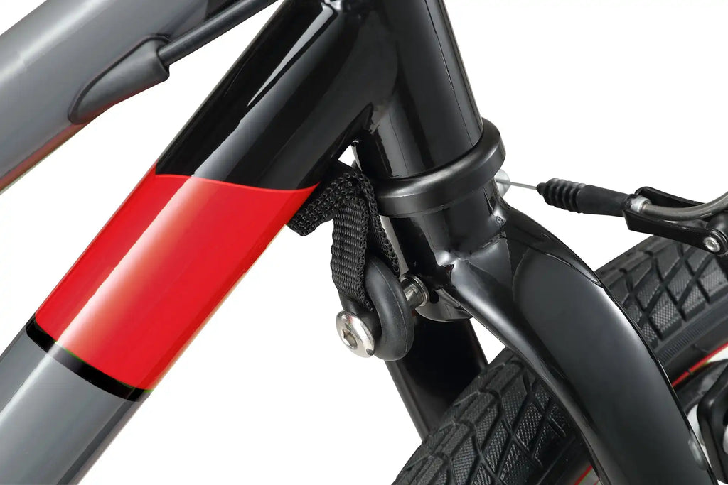 20 Inch Small Bike