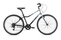 Adult Bike