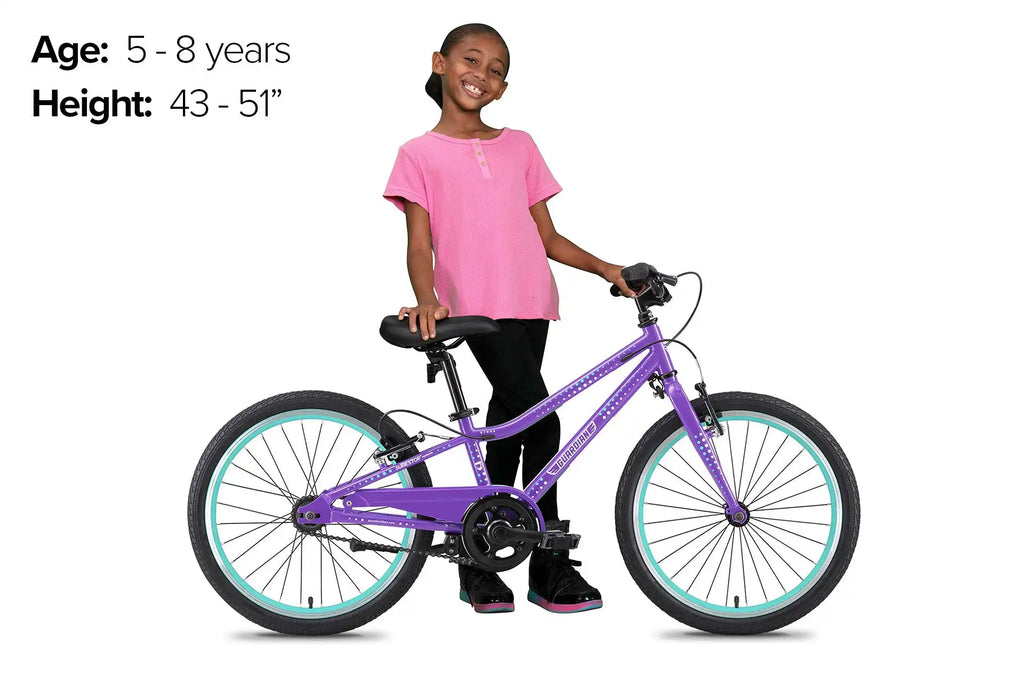 20 Inch Small Bike