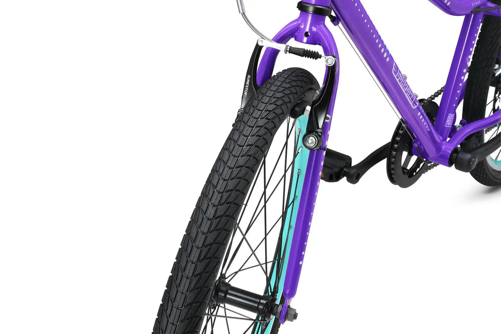 24 Inch Bike