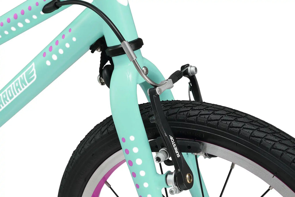 16 Inch Bike