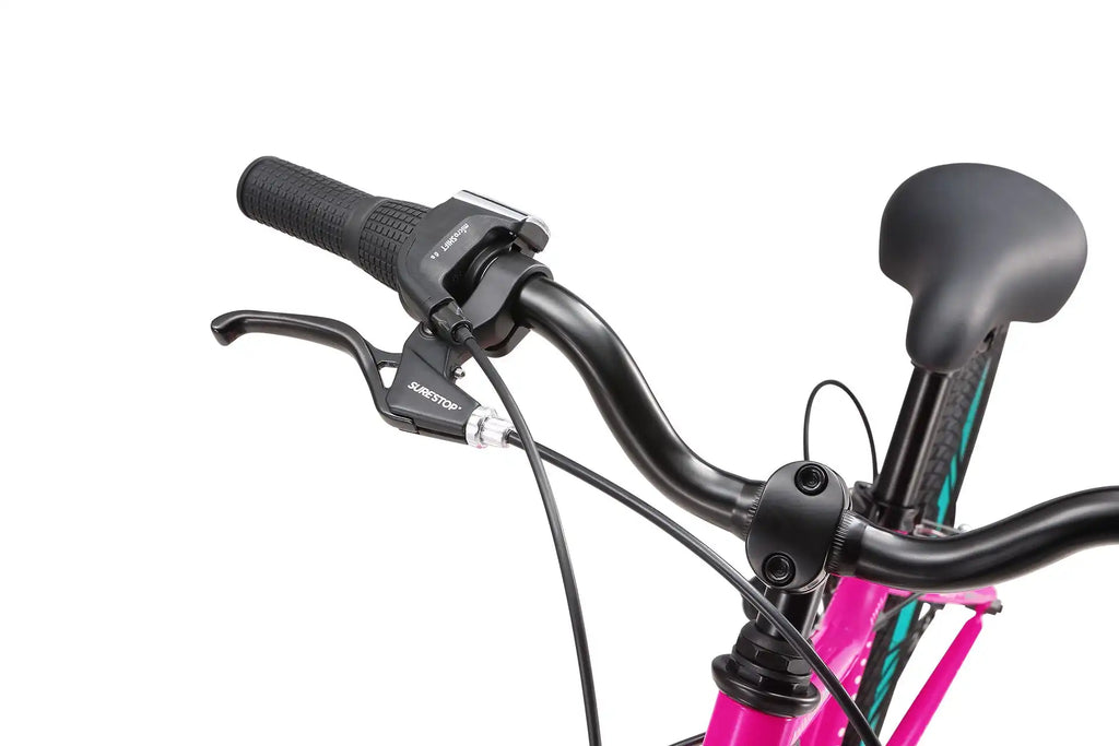20 Inch Large Bike