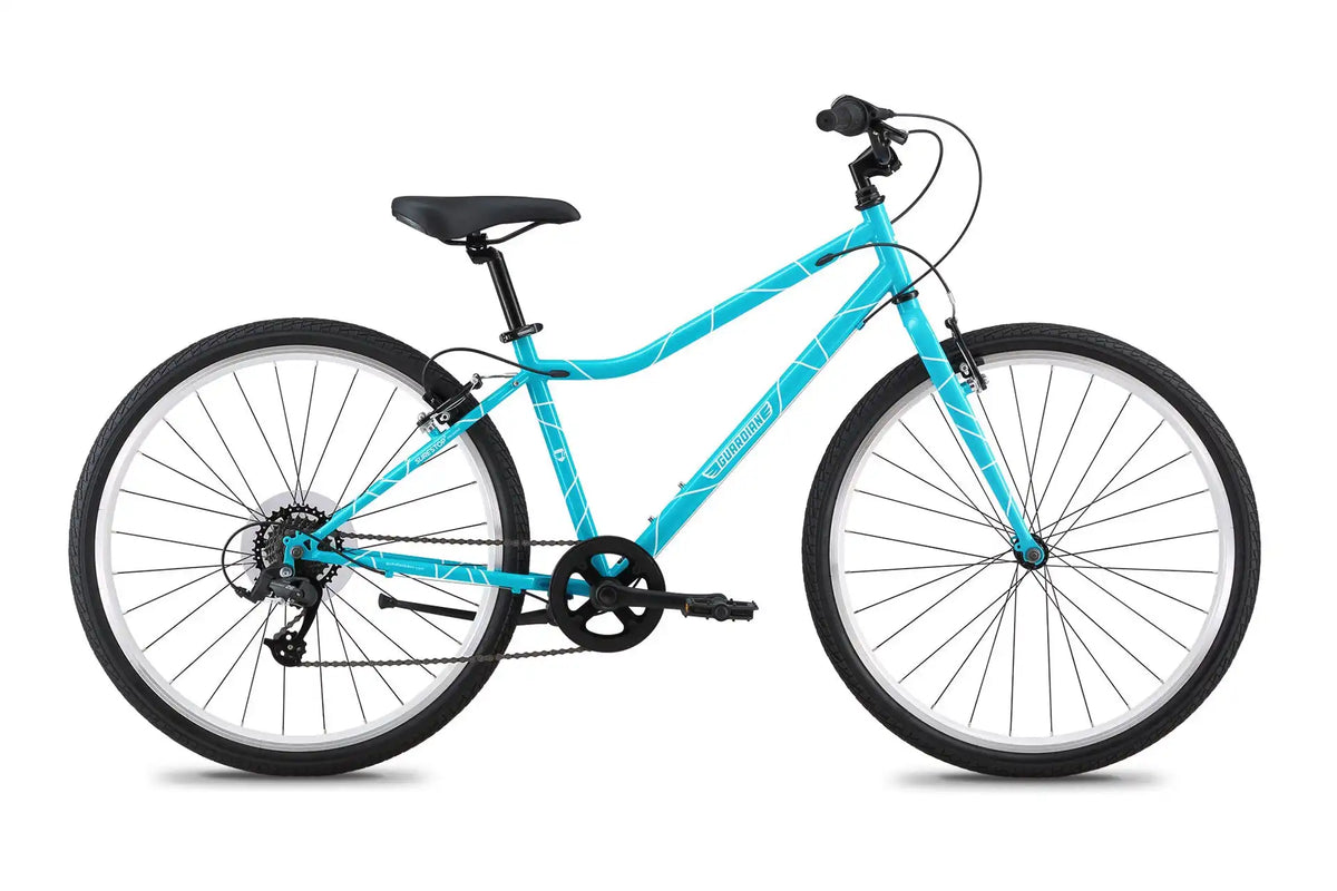 26 Inch Bike