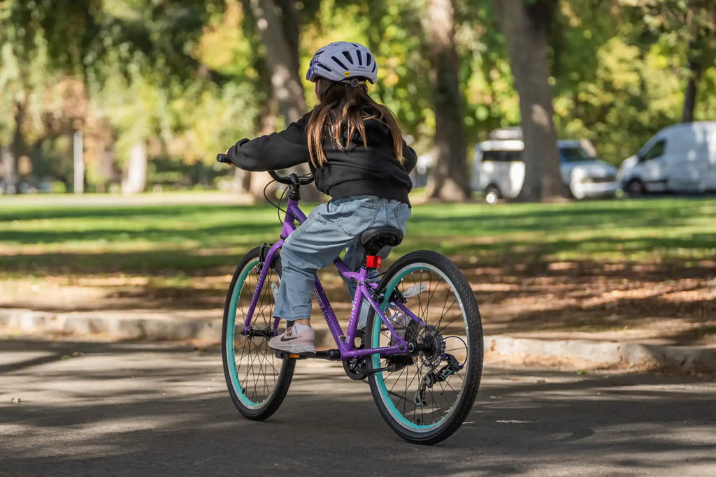 20 Inch Large Bike