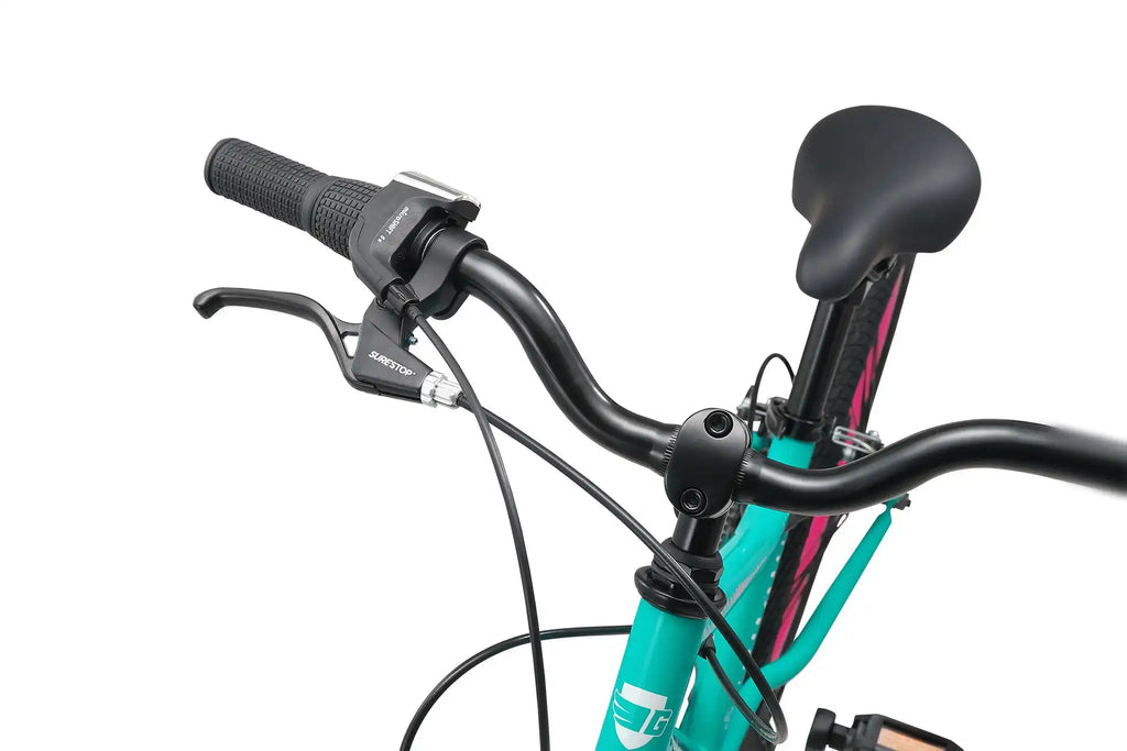 20 Inch Large Bike