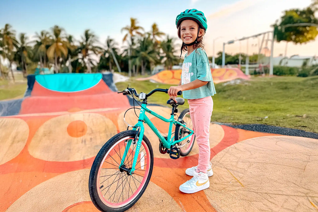 20 Inch Large Bike